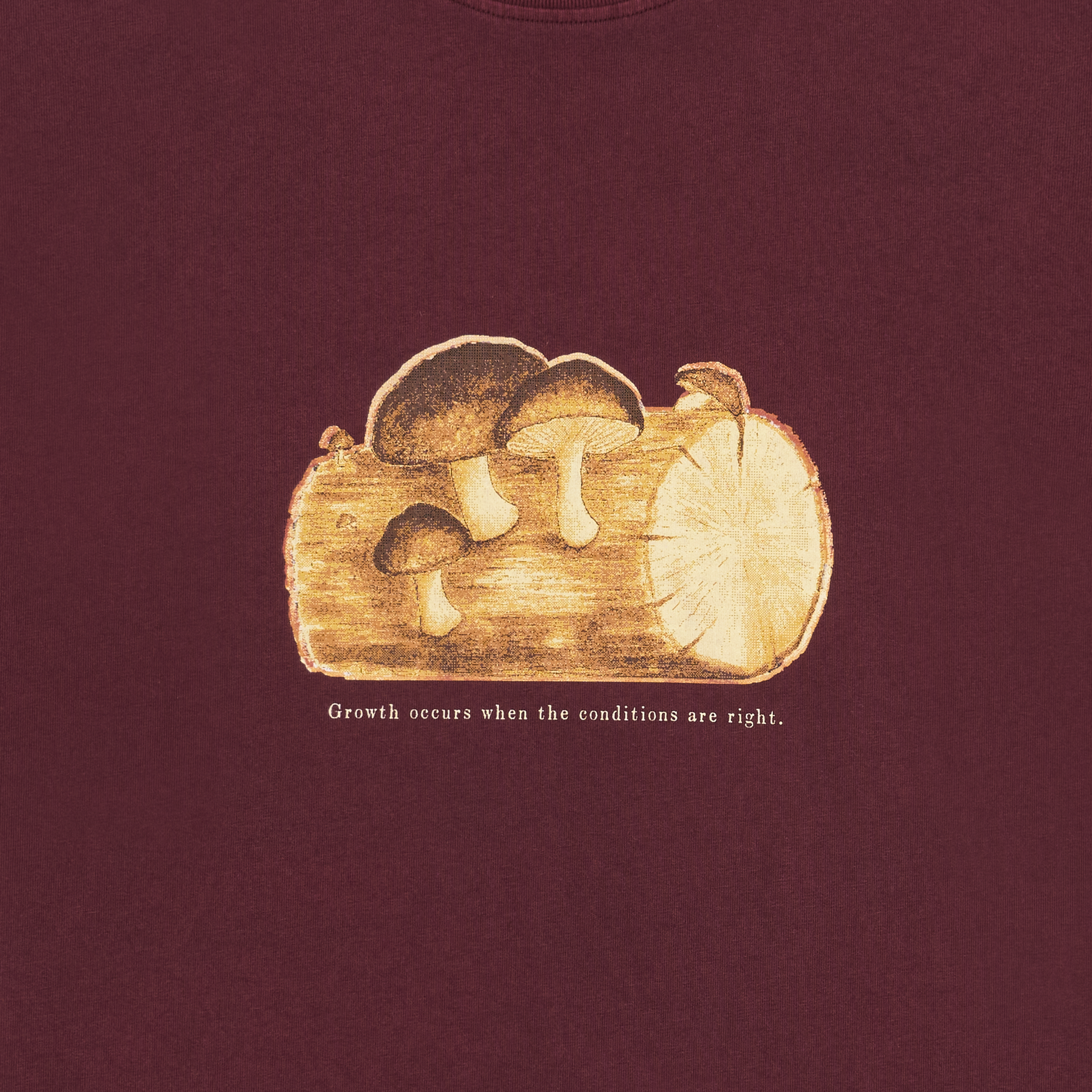 Atelier 131 'Growth Occurs' Tee