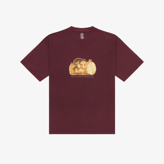 Atelier 131 'Growth Occurs' Tee