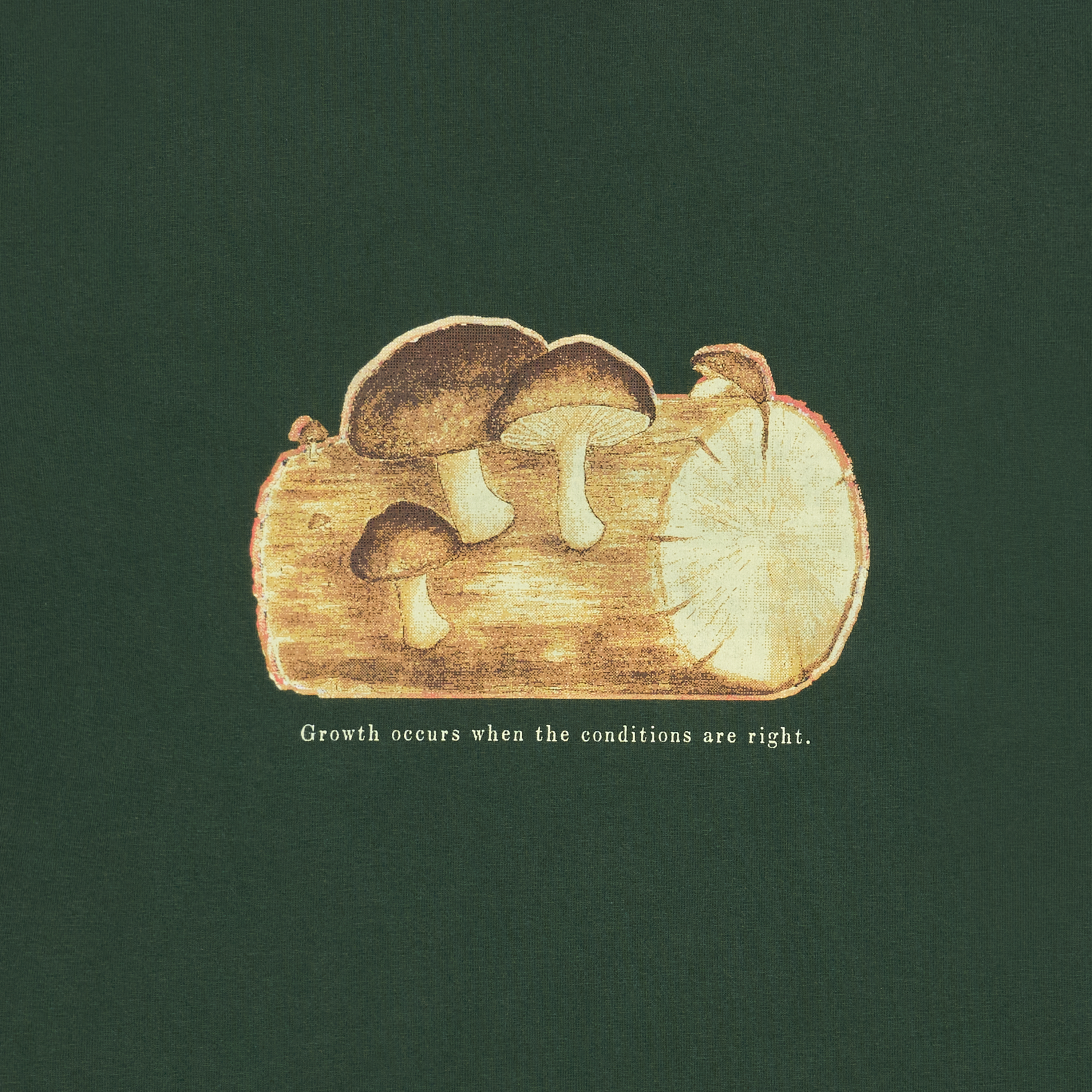 Atelier 131 'Growth Appears' Tee
